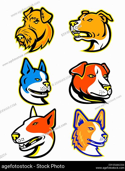 Mascot icon illustration set of heads of different terrier dog breeds like the Airedale Terrier, American Staffordshire Terrier, Bull Terrier