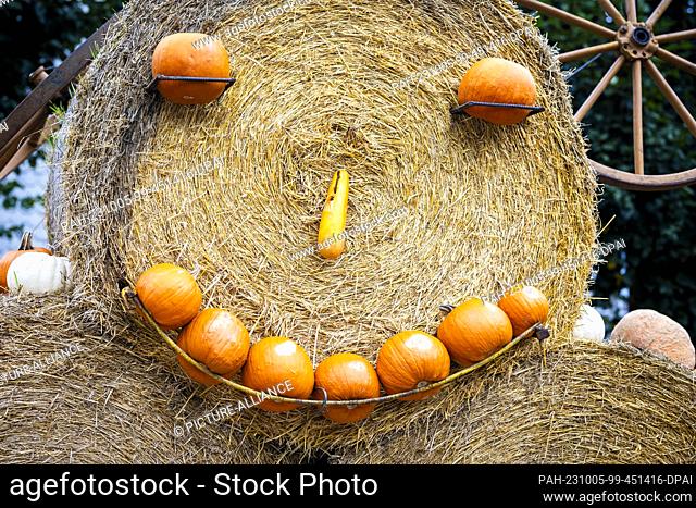 05 October 2023, Lower Saxony, Brunswick: An autumnal decoration of pumpkins and bales of straw stands in the yard of ""Papa's vegetable garden"" in the gloomy...