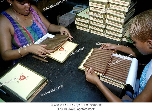 Havana, Cuba  Experts make the final checks on boxes of Montecristos at the Real Fabrica de Tabacos Partagas  Partagas cigar factory