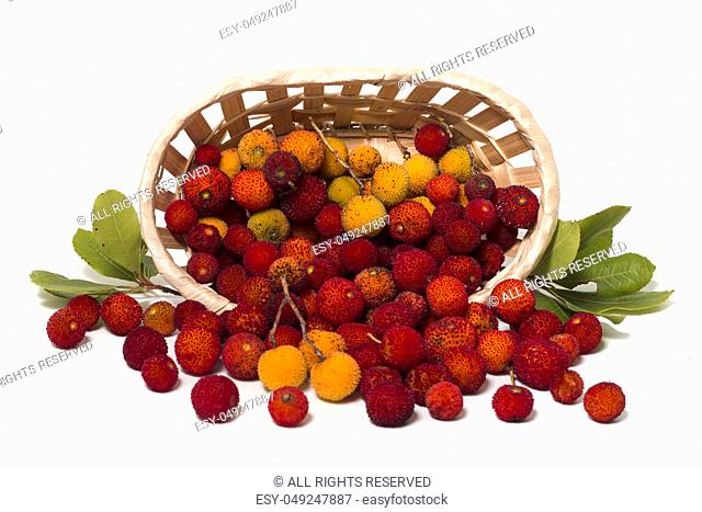 Close up view of strawberry tree (Arbutus Unedo) fruit isolated in white background
