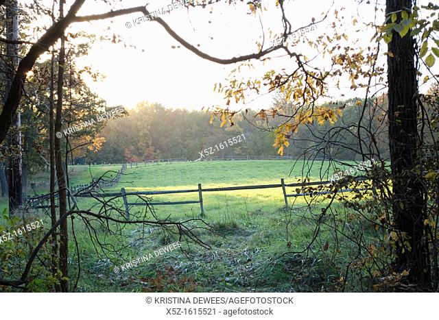 The afternoon sun on a fenced in pasture in the Fall