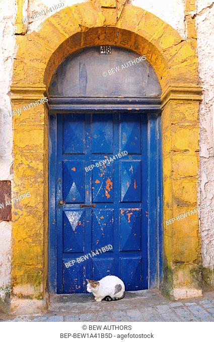 Africa, Morocco, Essaouira, cat on a door