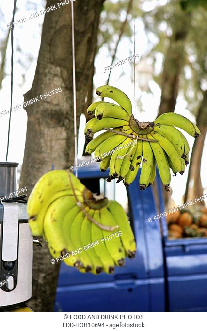 Bananas, Grande Baie, Mauritius