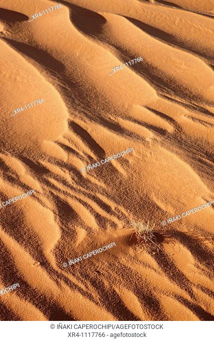 Sand Dunes in Idehan Murzuq, Idehan Murzuq, Ghat, Libia