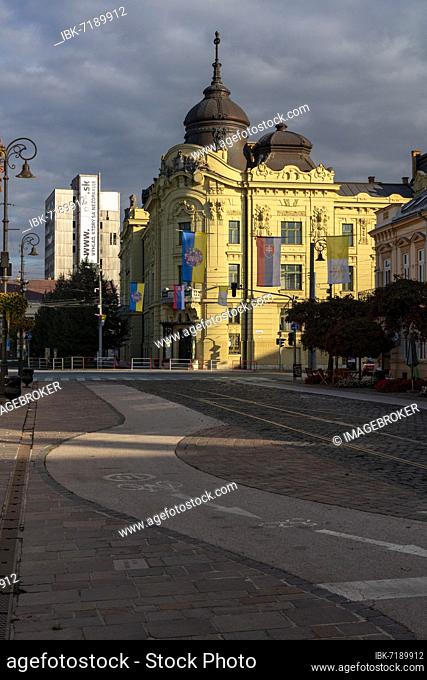 Eastern Slovak Museum, Východoslovenské múzeum, Storocia v umení, Príroda Karpát, Kashov, Kosice, Slovakia, Europe