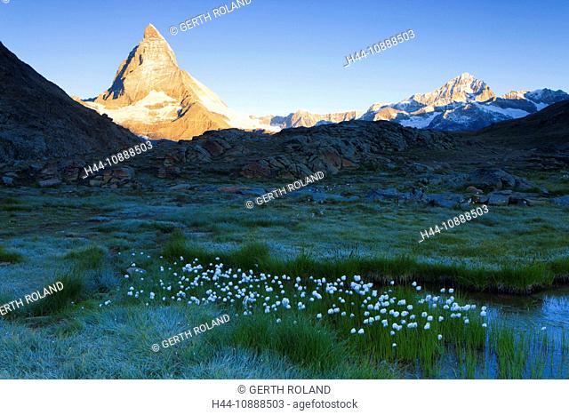 Lake Riffel, Switzerland, Europe, canton Valais, Mattertal, lake, sea, lake shore, grass, cotton grasses, marsh, mountain, Matterhorn, morning mood