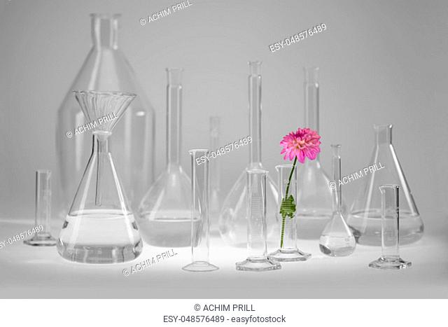 variety of partly filled laboratory glassware including a flower head