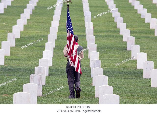 Boyscout places one of 85, 000 US Flags at 2014 Memorial Day Event, Los Angeles National Cemetery, California, USA
