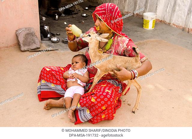 woman feeding fawn jodhpur rajasthan MR#786
