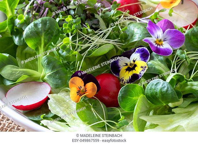 Closeup of a spring salad with edible pansies, lamb's lettuce and fresh broccoli and kale microgreens
