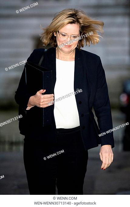 Ministers arrive for a Cabinet Meeting at 10 Downing Street. Featuring: Amber Rudd Where: London, United Kingdom When: 10 Jan 2017 Credit: WENN.com