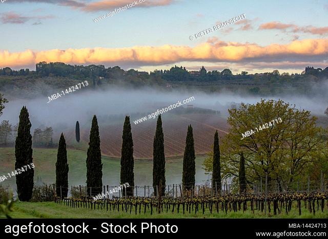 Italy, Tuscany, typical landscape in springtime