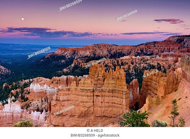 view of Bryce amphitheatre from Sunset point in the evening sun with moon , USA, Utah, Bryce Canyon National Park, Colorado Plateau