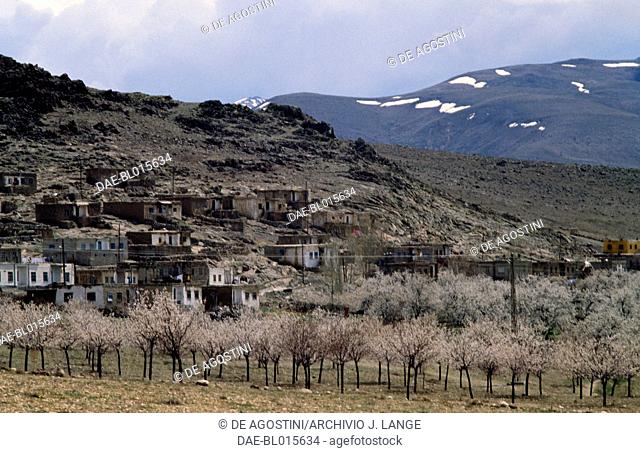 Orchard near Elbistan, with the Taurus Mountains in the background, Kahramanmaras Province, Turkey