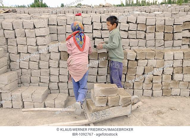 Children stacking bricks in a brickyard that manufactures air-dried bricks in the Indus valley, Traktok, Ladakh, India, Himalayas, Asia