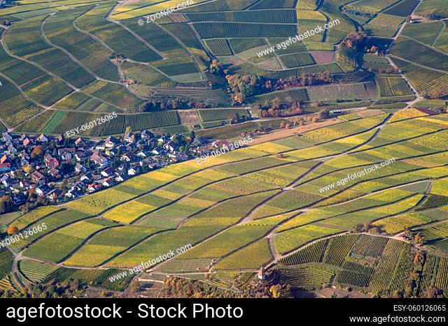 Aerial view of vineyards during autumn in Baden-Wurttemberg in Southern Germany