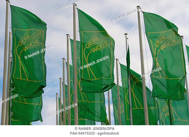 The flags of International Green Week wave in front of the conference center in Berlin, Germany 13 January 2015. The International Green Week is open to the...