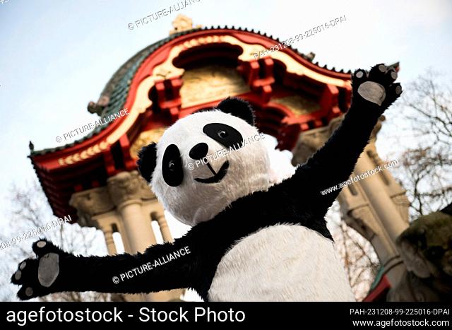 08 December 2023, Berlin: A man in a panda costume waves during a farewell ceremony for panda bears Pit and Paule at Zoo Berlin