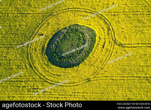 07 May 2020, Brandenburg, Ahrensfelde: In a rape field is a green island with other plants. (aerial view with a drone) Photo: Christophe Gateau/dpa