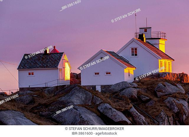Houses on the coast in the evening light, Austvågøy or Austvågøya, Lofoten, Norway