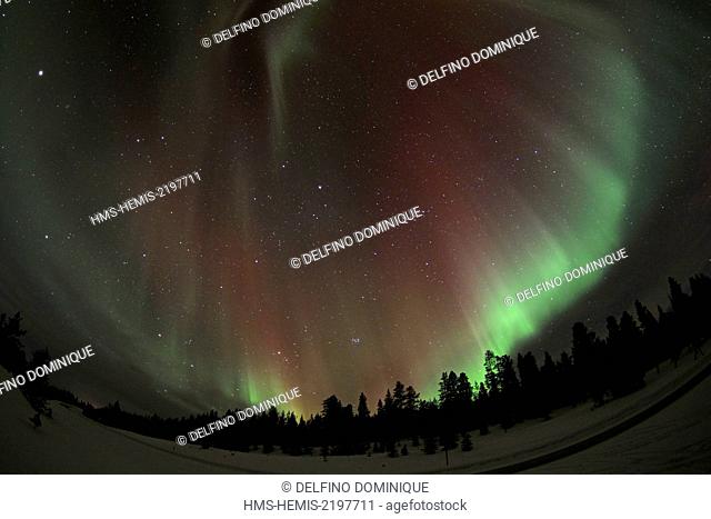 Finland, Lapland, Ivalo, aurora borealis