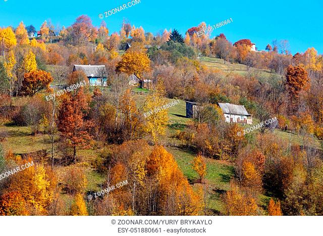 Autumn Carpathian Mountains landscape with multicolored yellow-orange-red-brown trees on slope (Transcarpathia, Ukraine)
