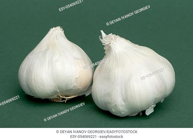 Whole heads of garlic on green background