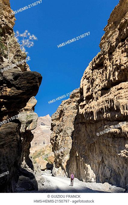 Sultanate of Oman, gouvernorate of Ad-Dakhiliyah, Djebel Shams in the Al Hajar Mountains range, hike in Wadi an Nakhur in the Grand Canyon of Arabia