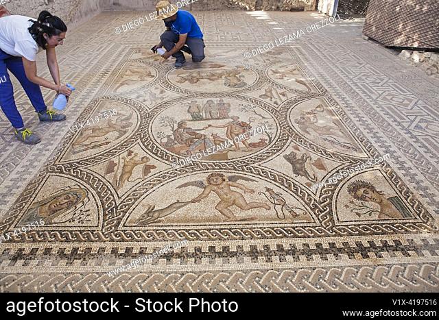 Archeologists spray water onto the mosaic of the Amores at the Castulo archaeological site to reduce the amount of dust on the tesserae and enhance its...