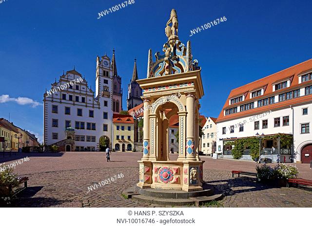 Neumarkt with fountain, town hall and St. Aegedien church in Oschatz, Nordsachsen district, Saxony, Germany