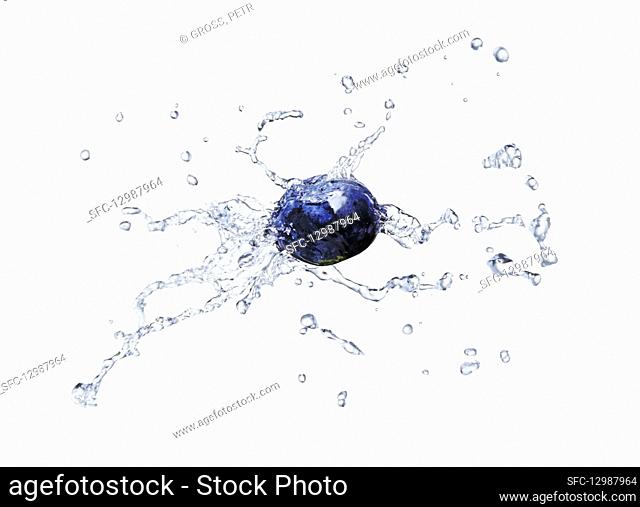 Blueberry with a water splash
