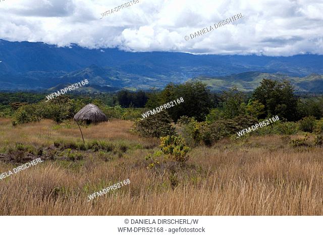 Impressions of Baliem Valley, West Papua, Indonesia