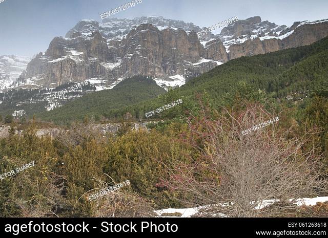 Cliff of Mondarruego. Ordesa and Monte Perdido National Park. Pyrenees. Huesca. Aragon. Spain