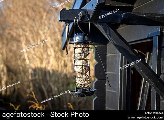 Bird feeder cage on a wooden shed in a garden with grain