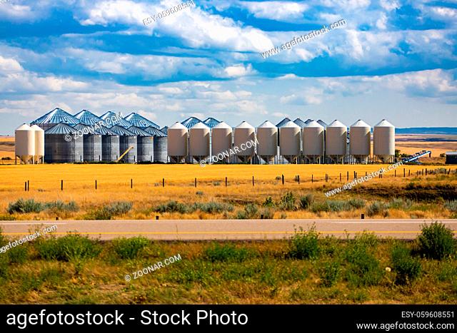 A wide view of an industrial grain elevator complex, with hopper bottom storage bins and steel silos, surrounded by golden corn fields with copy space