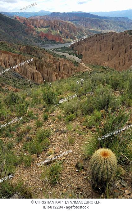 Valley near Tupiza, Altiplano, Bolivia, South America