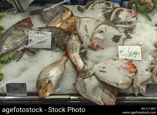 Fresh fish, on the left Peter fish (Zeus faber) on ice, fish market of Rialto in the district of San Polo, Venice, Veneto, Italy, Europe
