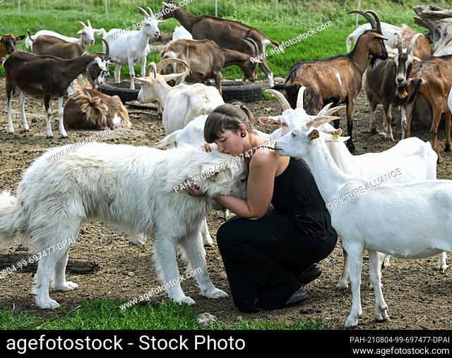 30 July 2021, Brandenburg, Flatow: Farmer Sarah Spindler cuddles with Maremmano Abruzzese shepherd dog Allessandro in her herd of goats on the grounds of the...