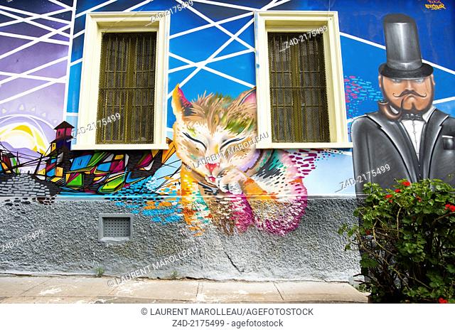 Street art murals in Cerro Polanco. Valparaíso, Chile, South America