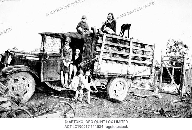 Negative - Barmah Forest, Nathalia District, Victoria, 1942, The dohnt children with their dog on a Bedford truck carrying sleeper chips gathered from the...