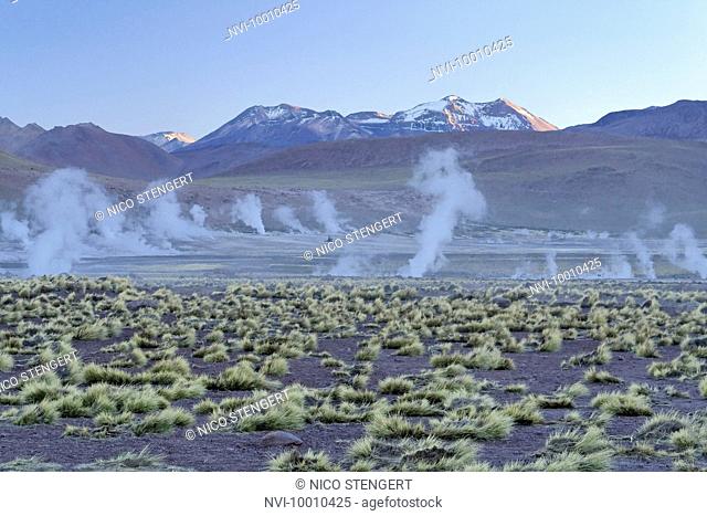 El Tatio Geysers, Altiplano, Atacama Desert, Chile, South America