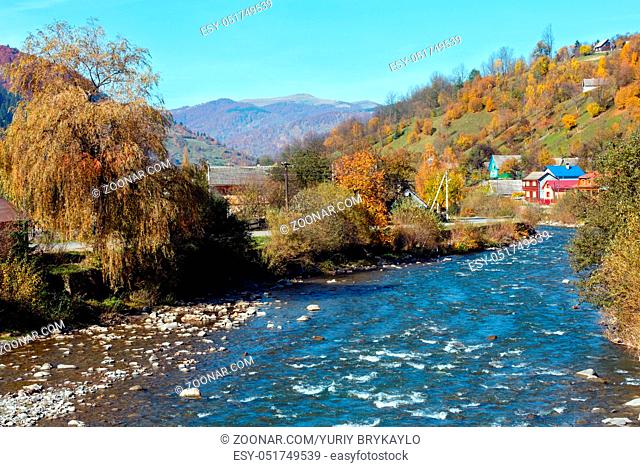 Autumn Carpathian mountain White Tysa river landscape with multicolored yellow-orange-red-brown trees on slope and river in mountain gorge (Transcarpathia