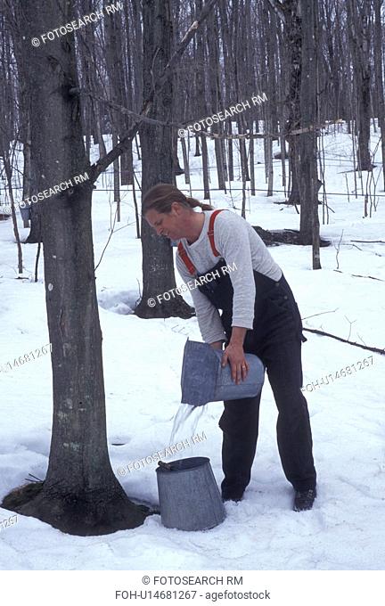 sugaring, Vermont, VT, Man collecting sap during sugaringtime from maple tree on Carpenter Farm in Cabot in the snow in the early spring