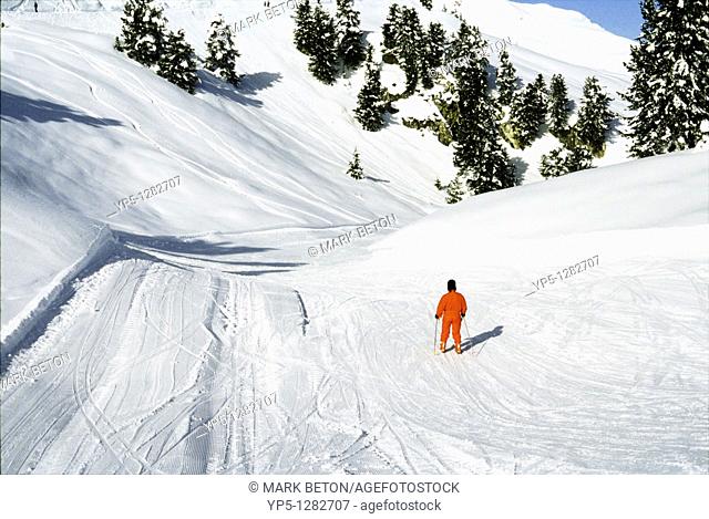 Cross country ski piste near Mayrhofen Austria