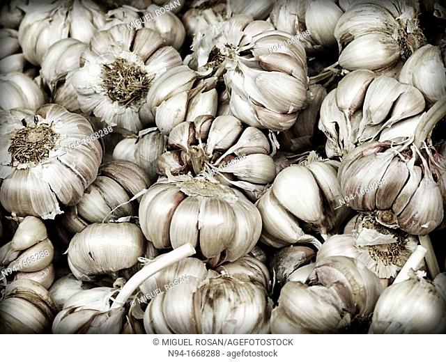 Still head and dry garlic cloves