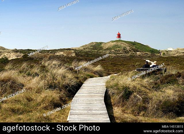 Boardwalk to the crossmark fire near Norddorf, Norddorf, Amrum, North Frisia, North Sea, North Frisian Islands, Wadden Sea National Park