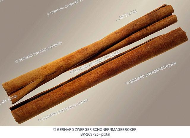 Cinnamon sticks (Cinnamonum)