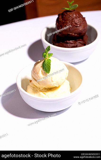Vanilla and Chocolate Gelato with Mint