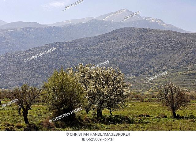 Lasithi Plateau and Mt. Dikte, Crete, Greece, Europe
