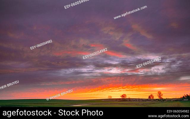 Spring Field In Evening Sunset. Natural Bright Dramatic Sky Pink Magenta Purple Colours Above Countryside Meadow Landscape